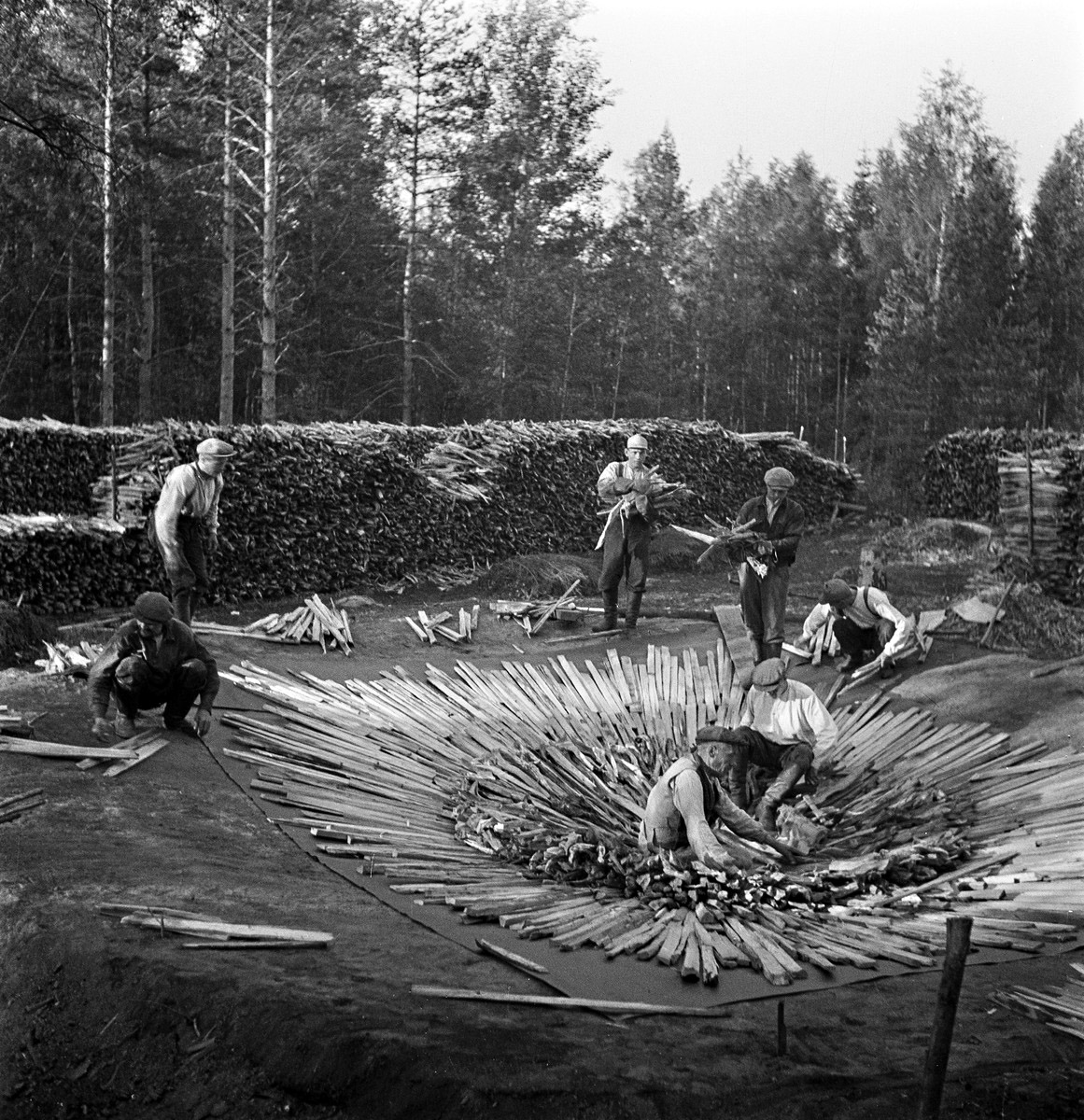 Tervanpoltto kuva